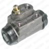 DELPHI LW30157 Wheel Brake Cylinder